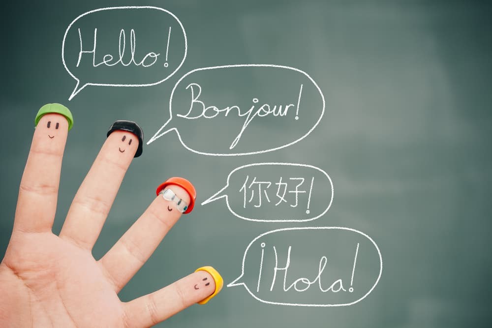 برای انجام یک ترجمه تخصصی چه مراحلی را باید طی کنیم؟